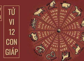 Tử vi hàng ngày 12 con giáp 21/3/2022: Mão đào hoa, Ngọ sa sút