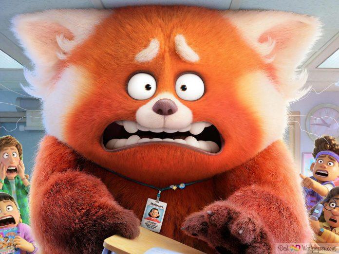 Bùm ~ và Mai Lee trở thành gấu đỏ (Nguồn: Internet)