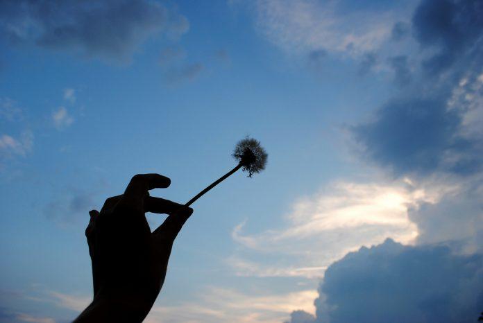 Không có sự cho đi nào là vô ích và không được đền đáp xứng đáng. Đừng bận tâm (Nguồn: Internet)