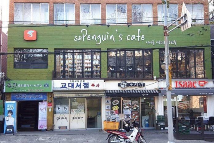 Kim Sohye đã mở một quán cafe với tên gọi “Penguin’s Café”, nơi cô có cơ hội gặp mặt và giao lưu với fan. Ảnh: Internet