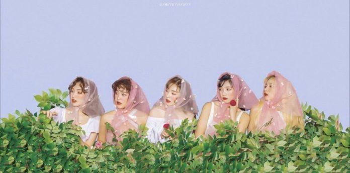 Lượt sale album của RED VELVET từng không mấy khá khẩm (Nguồn: Internet)