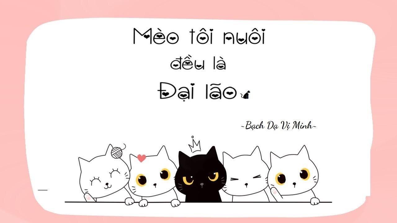"Mèo tôi nuôi đều là lão đại" - Bạch Dạ Vị Minh (Nguồn: Internet).