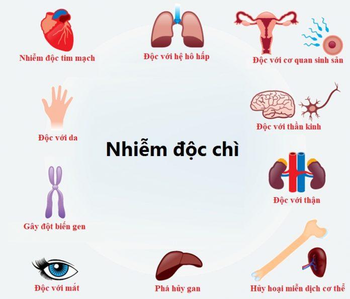 Nhiễm độc chì ảnh hưởng tới toàn bộ cơ thể (Ảnh: Internet).