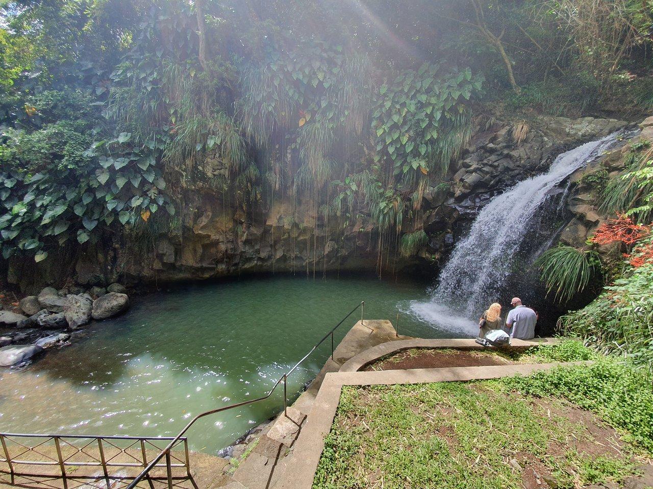 Thác Annandale - thác nước đẹp nhất Grenada (Ảnh: Internet)