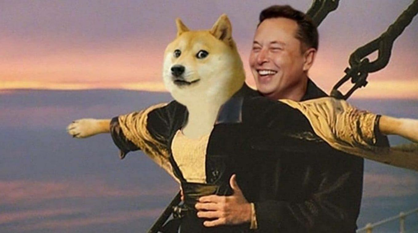 Elon Musk chỉ “nổi hứng” nhất thời với Dogecoin? (Ảnh: Internet).