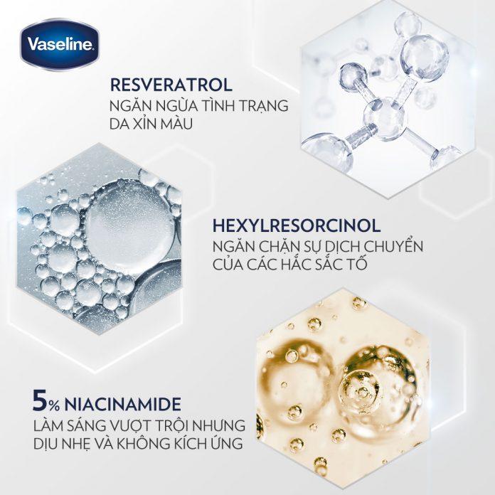 Thành phần chính sữa dưỡng thể Vaseline Pro Derma 3 màu hồng (Ảnh: Internet)