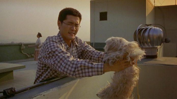 Dồn nén tức giận lên một chú chó nhỏ của Ko Yun Ju (Ảnh: Internet)