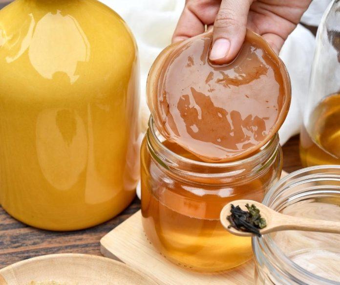 Trà Kombucha có thể sử dụng ở nhiều đối tượng khác nhau vì giá trị dinh dưỡng mang lại cho thể (nguồn: internet)