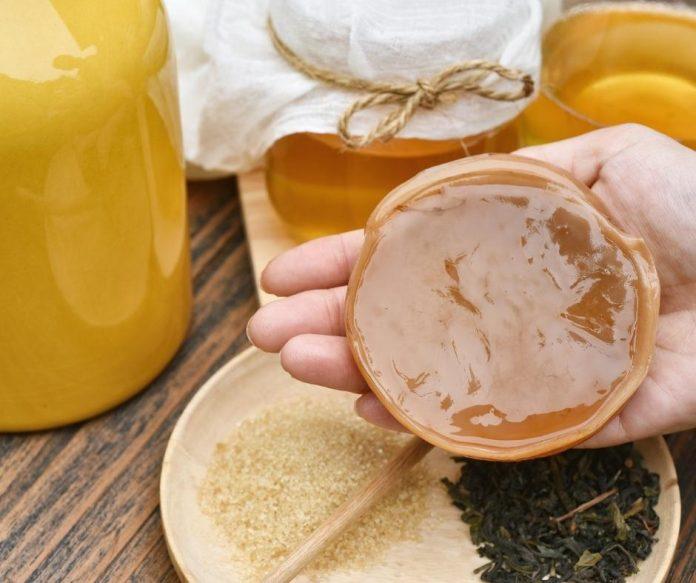 Đối với giống Scoby sau khi sử dụng bạn vẫn có thể cho tiếp vào môi trường và dùng cho những kế tiếp (nguồn: internet)