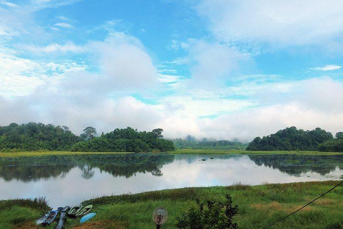 Vùng đất ngập mặn Bàu Sấu trong rừng Nam Cát Tiên (Ảnh: Internet)