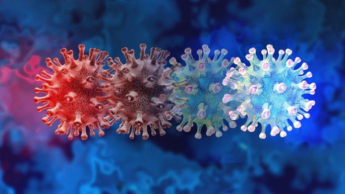 Đột biến mới của virus gây bệnh COVID-19 được gọi là "XE" (Ảnh: Internet).