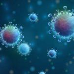 Virus liên tục xuất hiện đột biến mới (Ảnh: Internet).