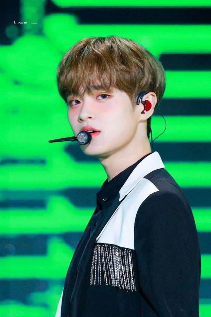 Daehwi AB6IX (Ảnh: Internet)