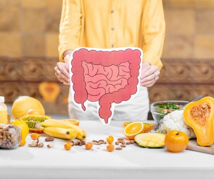 Kombucha cung cấp lợi khuẩn là Probiotics giúp cải thiện tiêu hóa tốt hơn (nguồn: internet)