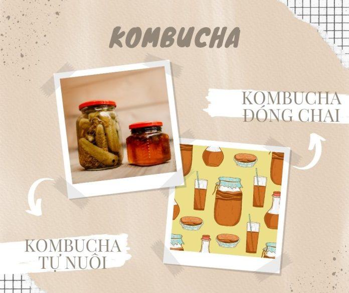 Hiện nay trên thị trường có hai dạng chính là Kombucha tự nuôi và Kombucha đóng gói hay đóng chai (nguồn: BlogAnChoi)