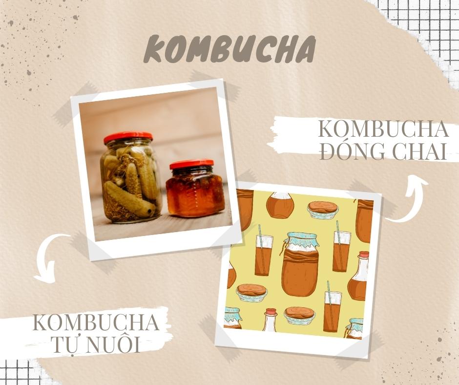 Hiện nay trên thị trường có hai dạng chính là Kombucha tự nuôi và Kombucha đóng gói hay đóng chai (nguồn: BlogAnChoi)