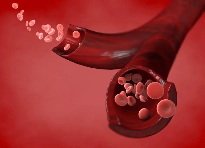 Nhóm máu trong cơ thể mình có ý nghĩa như thế nào? (Nguồn: Internet)