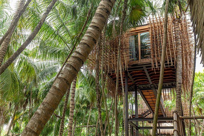 Nômade Tree House (Ảnh: Internet)