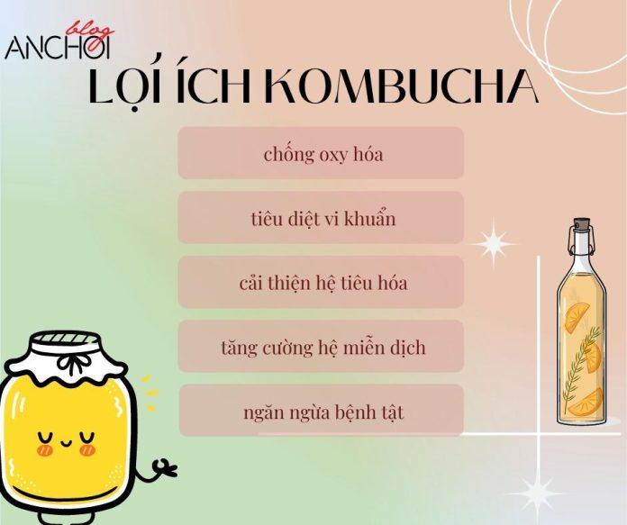 Kombucha mang đến rất nhiều lợi ích về khía cạnh sức khỏe và làm đẹp da cho các cô nàng (nguồn: BlogAnChoi)