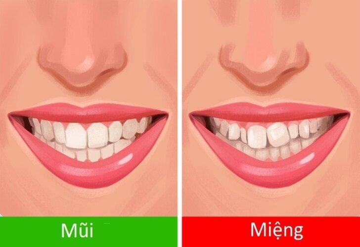 Bạn có muốn hàm răng đẹp đẽ của mình trở nên khấp khểnh không nào? (Ảnh: Internet)
