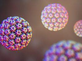 HPV thường không gây triệu chứng cho người bị nhiễm (Ảnh: Internet).