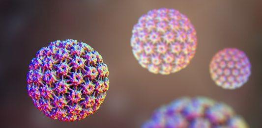 HPV thường không gây triệu chứng cho người bị nhiễm (Ảnh: Internet).