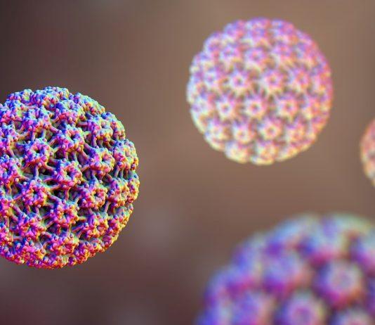 HPV thường không gây triệu chứng cho người bị nhiễm (Ảnh: Internet).