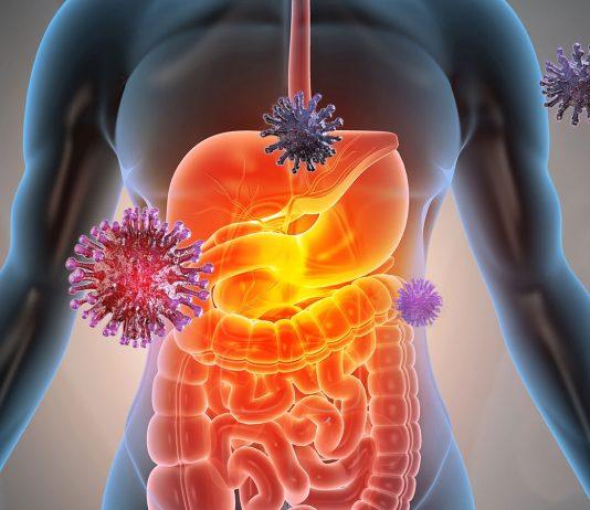 Tại sao cần cảnh giác với COVID-19 khi có triệu chứng đau bụng, rối loạn tiêu hóa? Virus có thể thoát ra khỏi đường ruột và lan rộng khắp cơ thể (Ảnh: Internet).