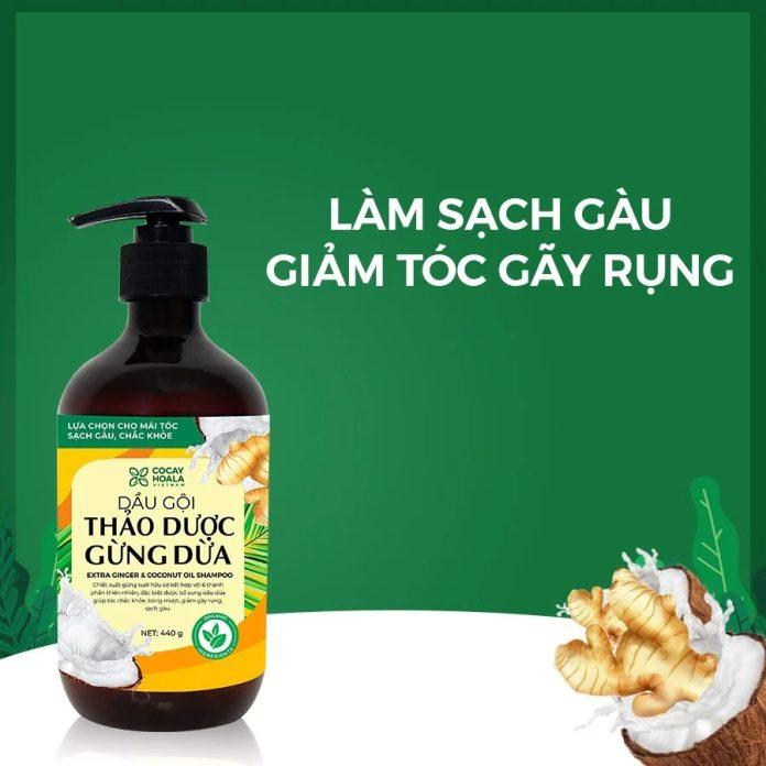 Dầu gội thảo dược Gừng Dừa bên cạnh khả năng làm sạch vượt trội sản phẩm còn giúp tóc suông mượt tức thì (Nguồn: Internet)