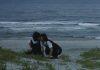 Endo hôn Kirishima bên bãi biển (Nguồn: Internet)