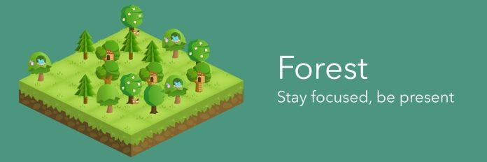 Forest - Stay Focus, Be Present (Ảnh: Internet)