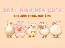 200+ hình nền cute cho điện thoại, desktop đẹp nhất 2022