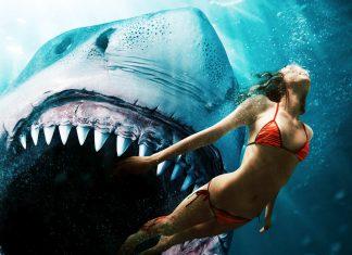 Review Mồi Cá Mập- Shark Bait: Liệu có đủ đô cho dân đam mê phim sinh tồn