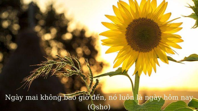 Những câu nói hay về thời gian (Ảnh: BlogAnChoi)