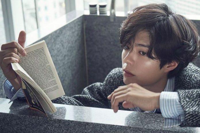 Park Bo Gum nam diễn viên Hàn Quốc có khuôn mặt chó con. (Nguồn: Internet)