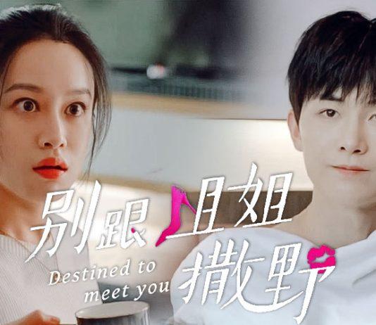 Review Đừng Ngang Ngược Với Chị: Phim ngôn tình ngọt sảng khiến bạn cười “rớt não”