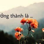 Trưởng thành – Câu chuyện không của riêng tớ