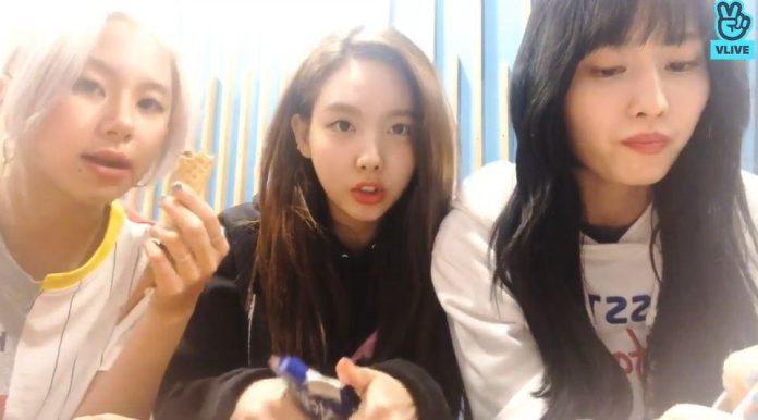 TWICE chăm chỉ live để giao lưu với fan (Nguồn: Internet)