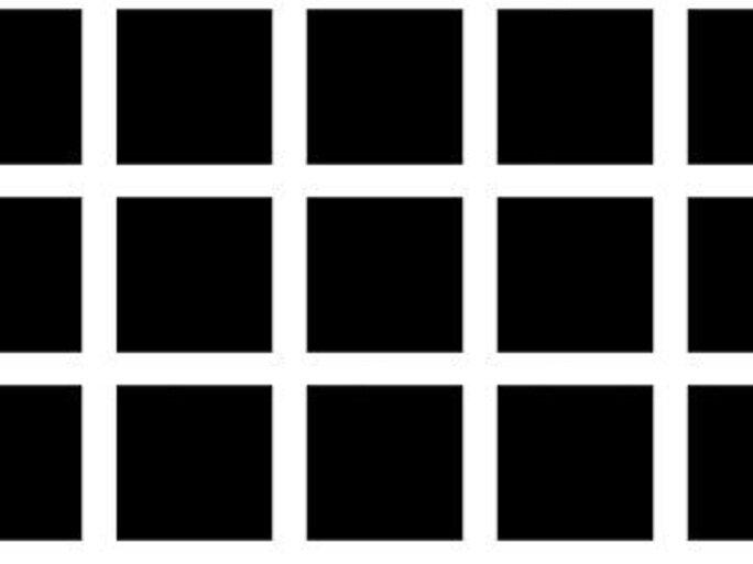 Bạn có thấy những chấm đen nằm ở giao điểm các đường trắng không? (Nguồn: Internet)