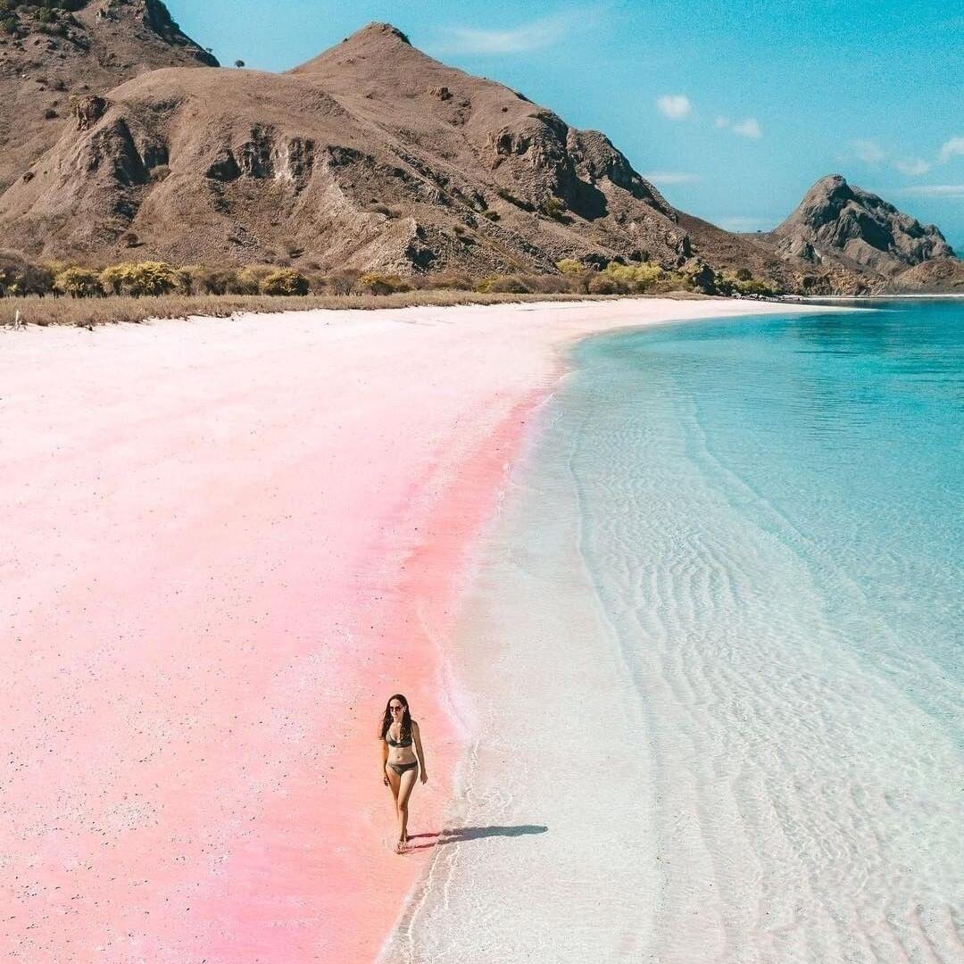 Bãi biển cát hồng đảo Komodo (Ảnh: Internet)