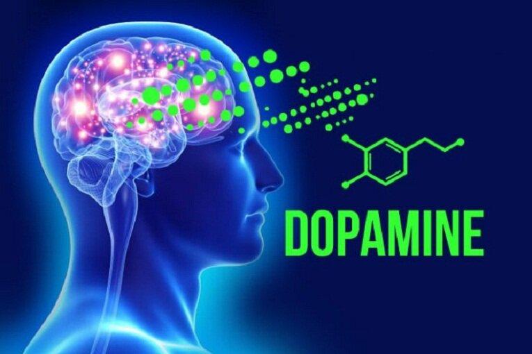 Dopamine là một trong những chất tạo cảm giác hạnh phúc (Ảnh: Internet).