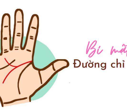 Đường chỉ tay của bạn tiết lộ điều gì về tình yêu của bạn? Đường chỉ tay của bạn tiết lộ điều gì về tình yêu của bạn?