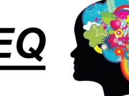 EQ là gì? 3 biểu hiện của người có EQ thấp