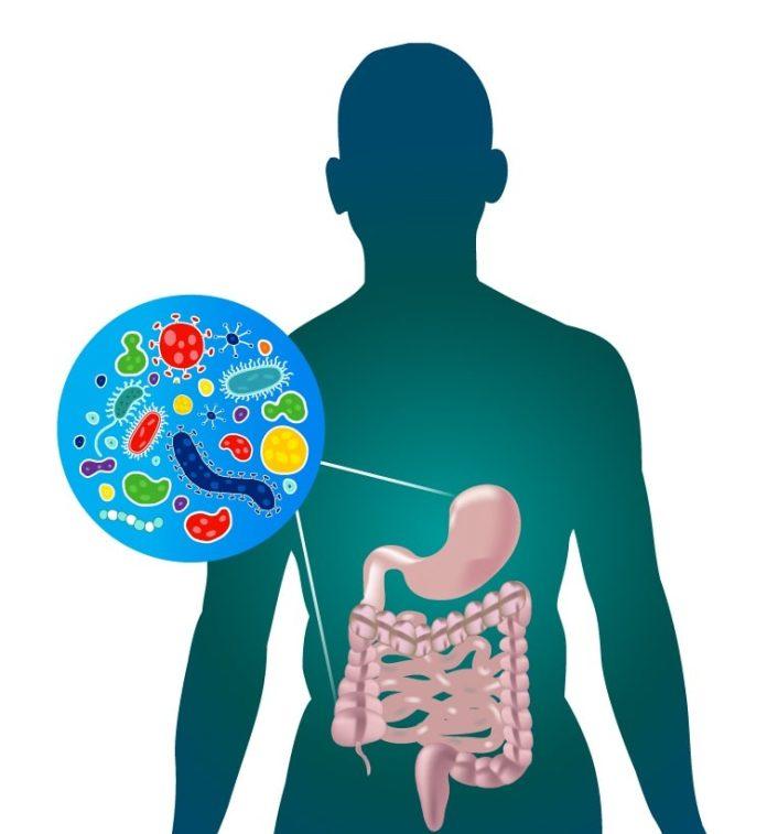 Hệ vi sinh đường ruột có thể ảnh hưởng tới sở thích ăn uống? (Ảnh: Internet).