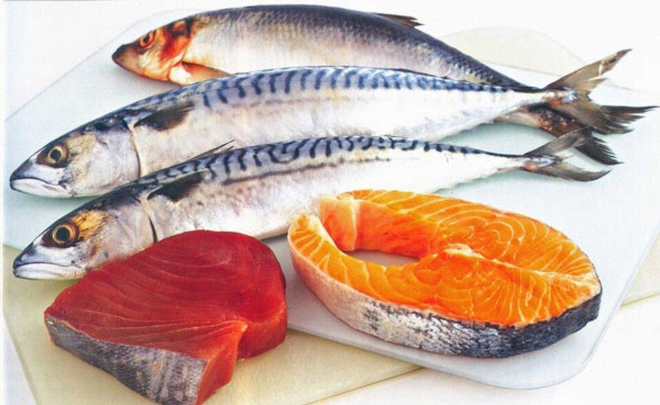 Các loại cá béo chứa nhiều omega-3 (Ảnh: Internet).