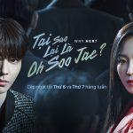 Review Why Her? Bộ phim về nữ luật sư sa ngã có gì hay mà hot đến thế?