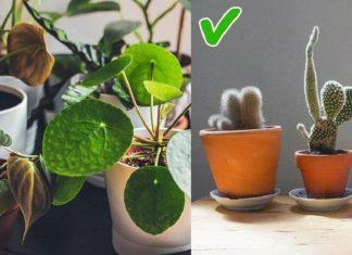 13 sai lầm các chuyên gia muốn chúng ta ngừng mắc phải