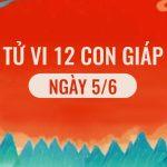 Xem tử vi hàng ngày 12 con giáp, tử vi hôm nay 5/6/2022