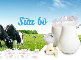 Sữa bò nhiều dinh dưỡng nhưng cũng nhiều chất béo (Ảnh: Internet).
