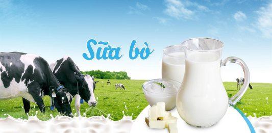 Sữa bò nhiều dinh dưỡng nhưng cũng nhiều chất béo (Ảnh: Internet).